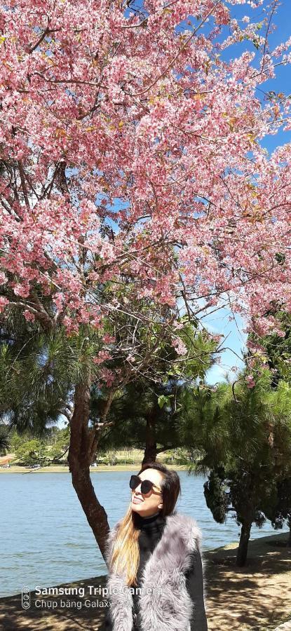 Homstay An Nhien Νταλάτ Εξωτερικό φωτογραφία
